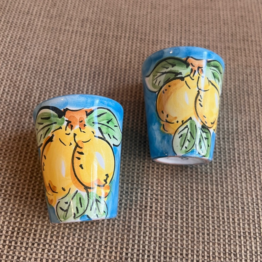 Vietri Hand Painted Limoncello Shot Glasses Set